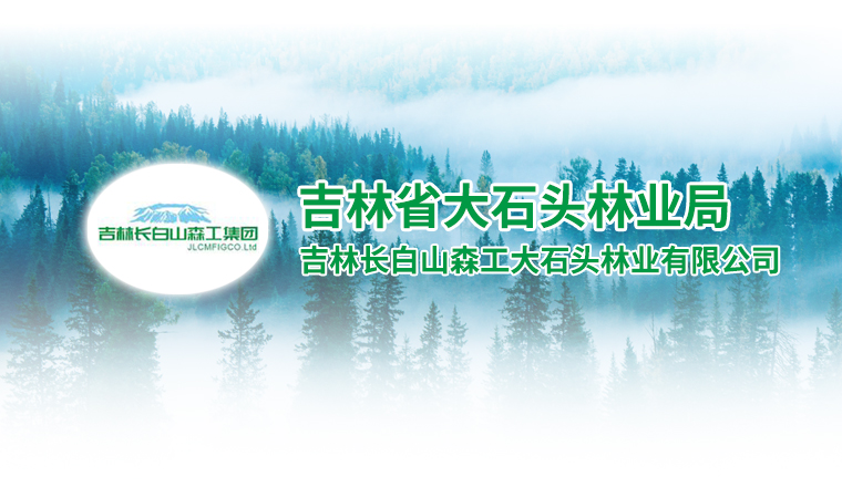 吉林省大石头林业局